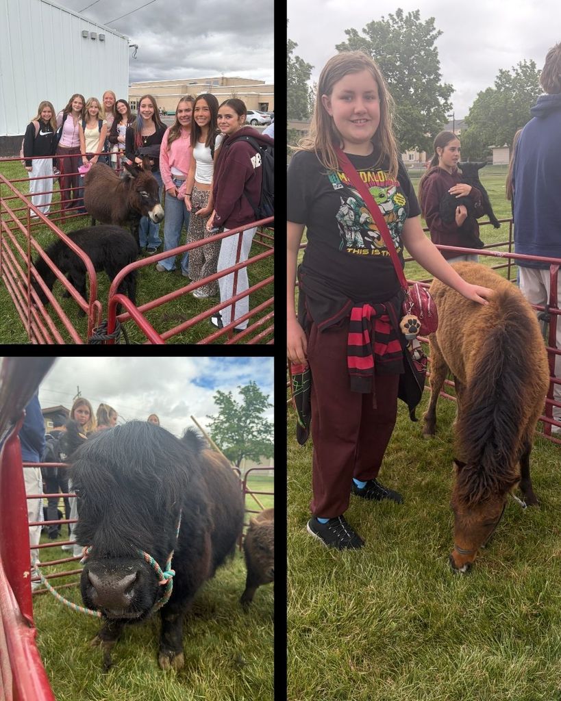 Students at NLJH petting and standing next to a mini cow and mini donkey