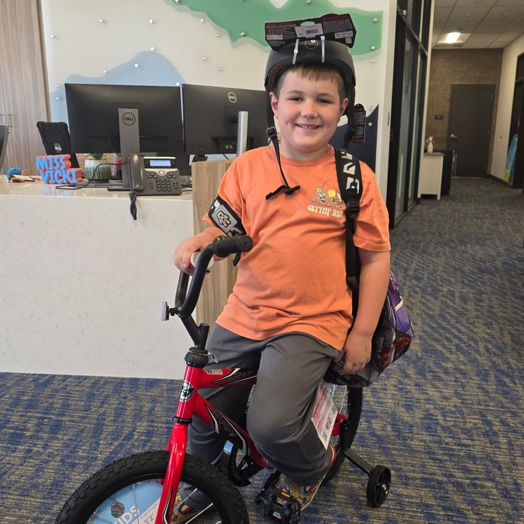 Bike Winner 