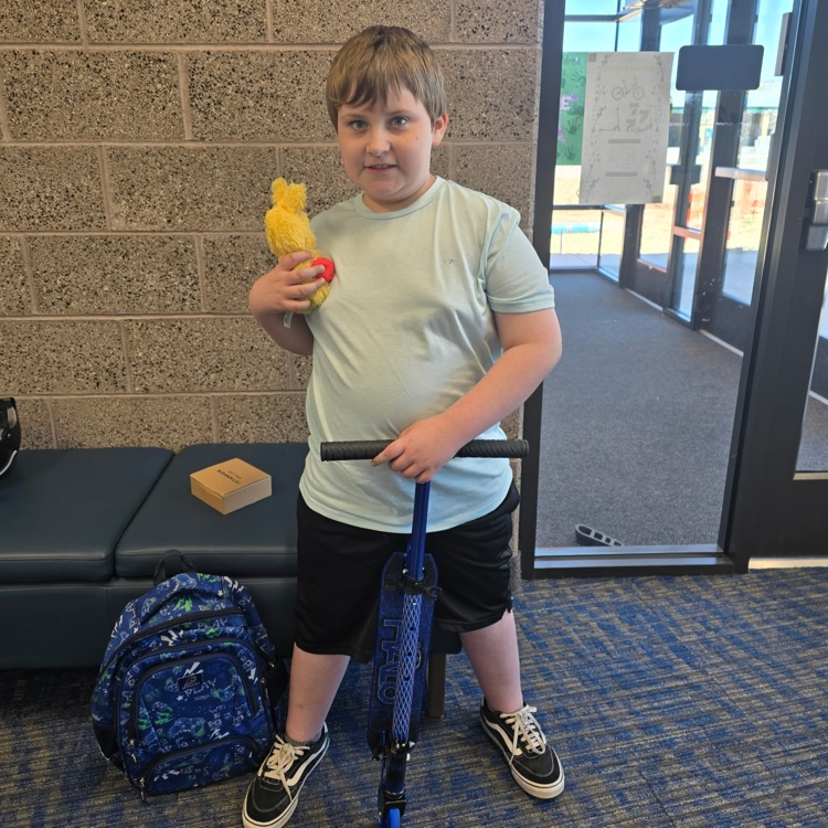 Scooter Winner