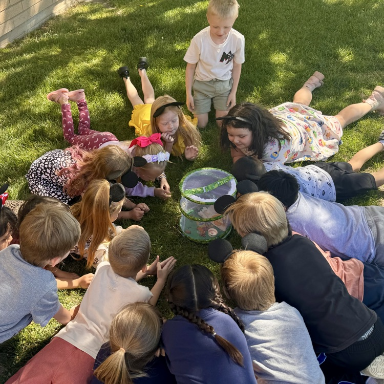 Layton Elementary Butterflies! 