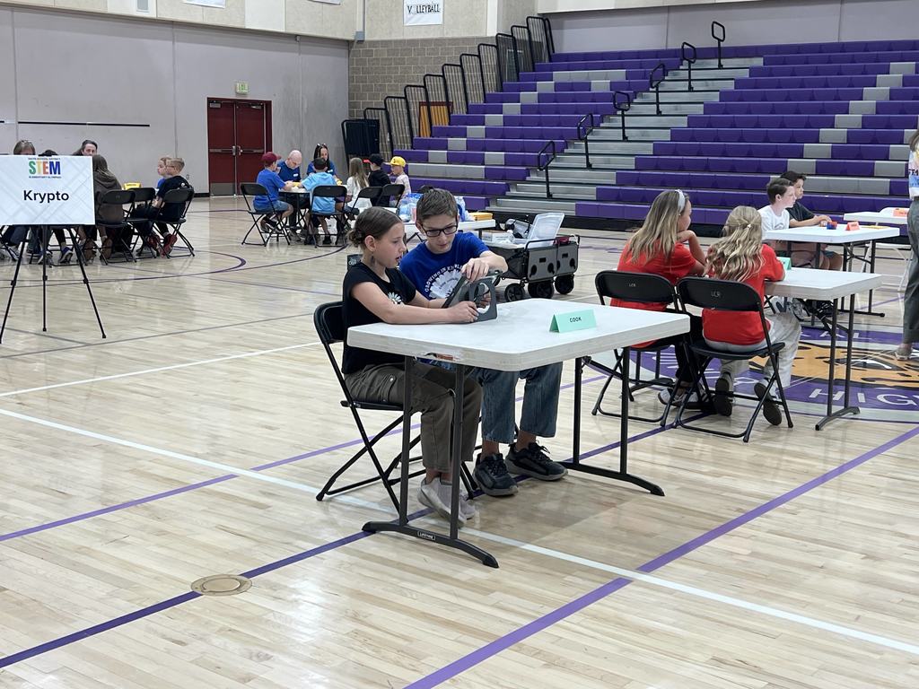 STEM Olympiad