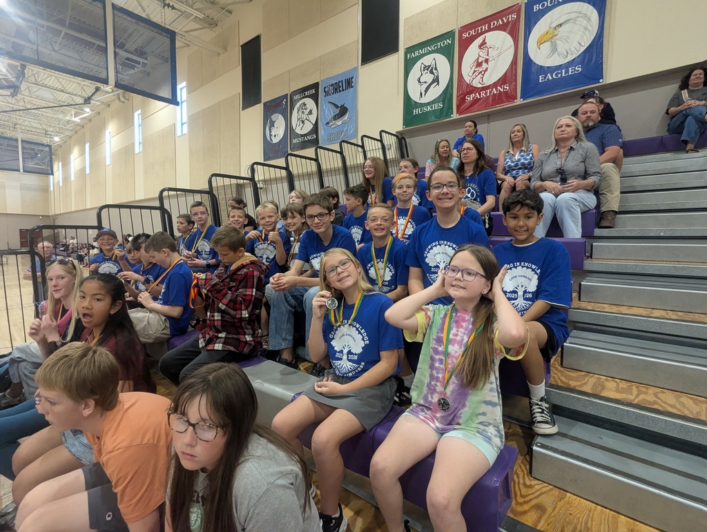 STEM Olympiad