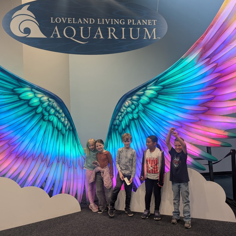 aquarium