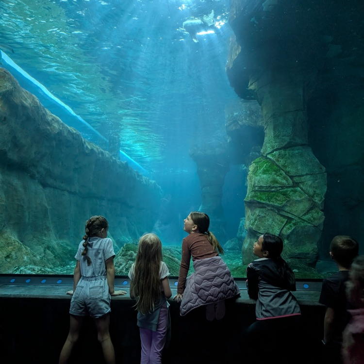 aquarium
