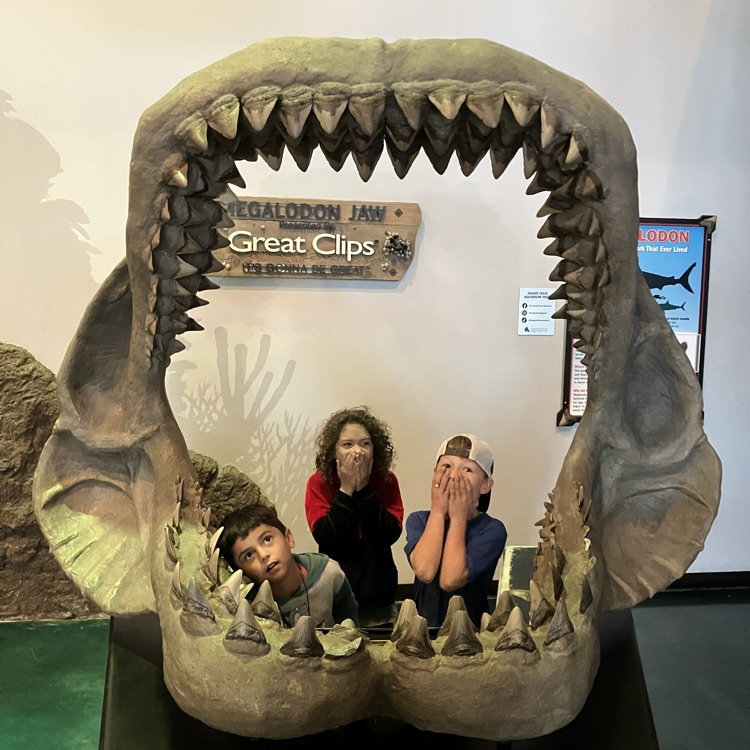 aquarium