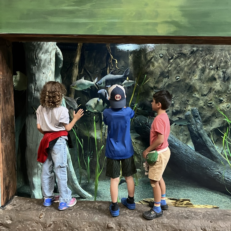 aquarium