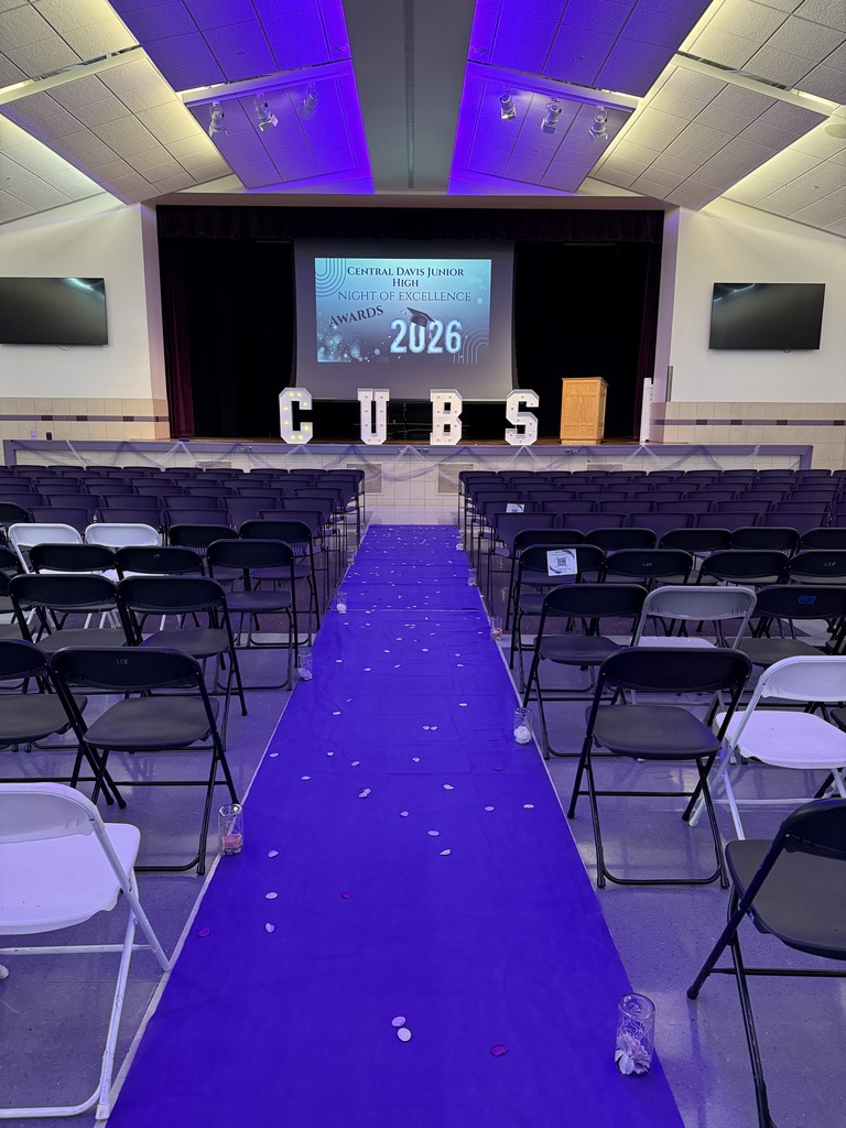 Purple Carpet leading up to stage