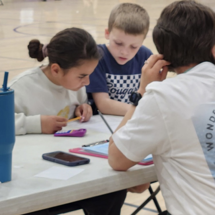 STEM OLYMPIAD PARTICIPANTS
