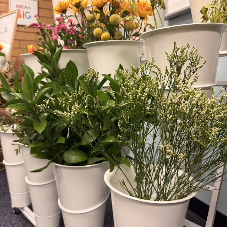 Fresh Flowers!