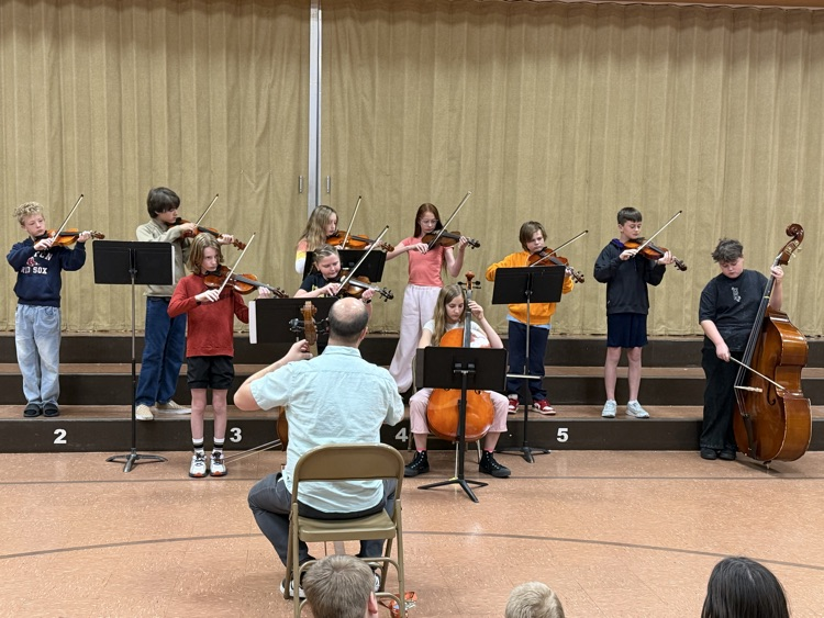 orchestra 