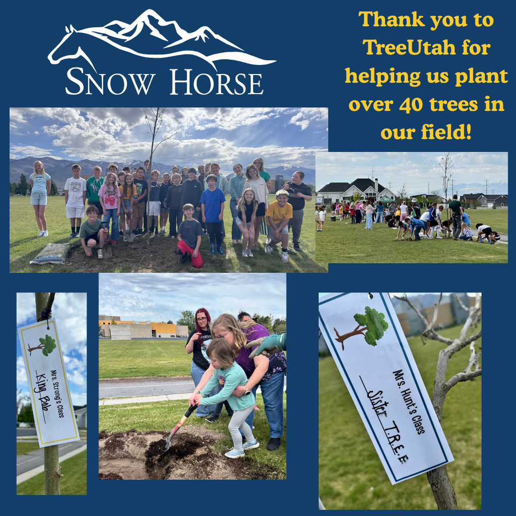 Students planting trees