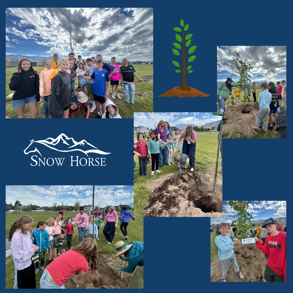 Students planting trees