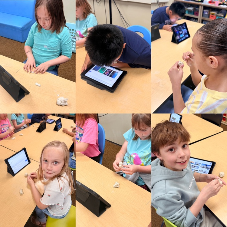 2nd graders working on clay animals for their animal reports 