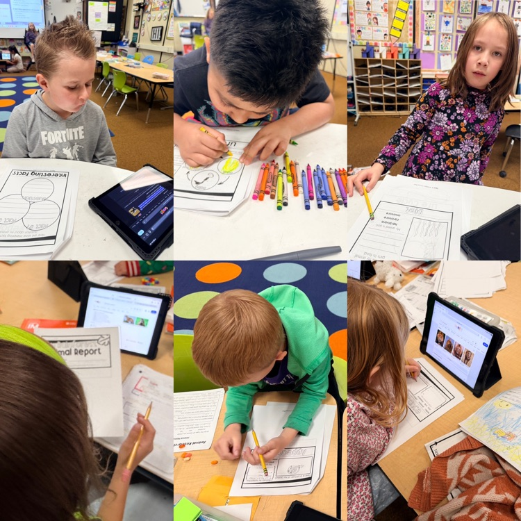 2nd graders working on their animal reports 