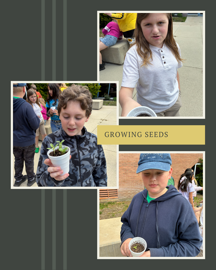 Students holding a paper cup filled with dirt with little sprouts of green inside the cup, the day is slightly overcast.