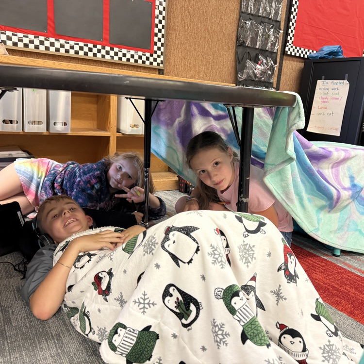 Camping in the classroom!