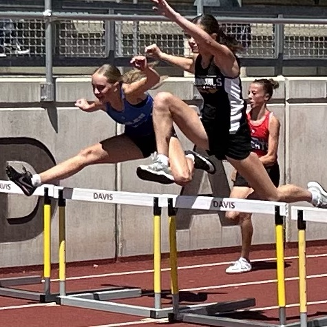 hurdles 