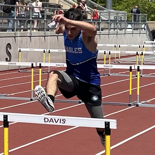 hurdles