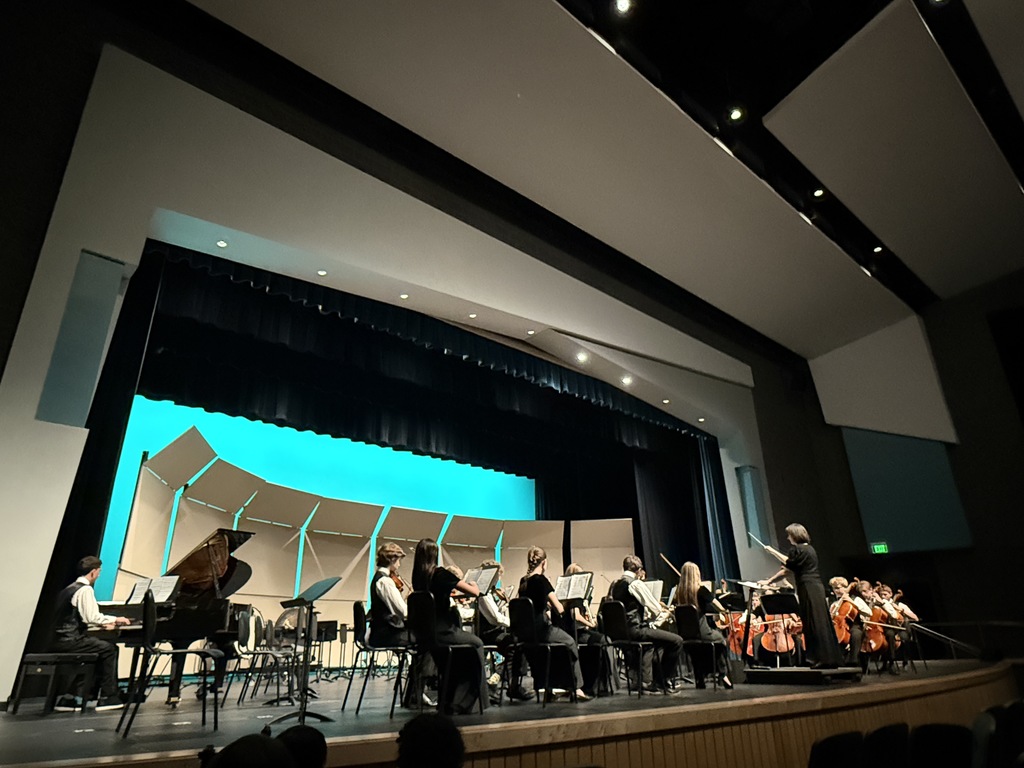Advanced orchestra playing in the concert tonight. 