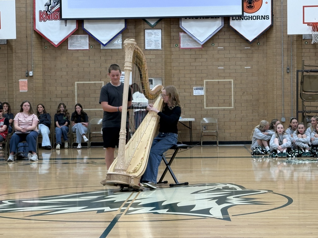 Student playing harp for talent assembly. 