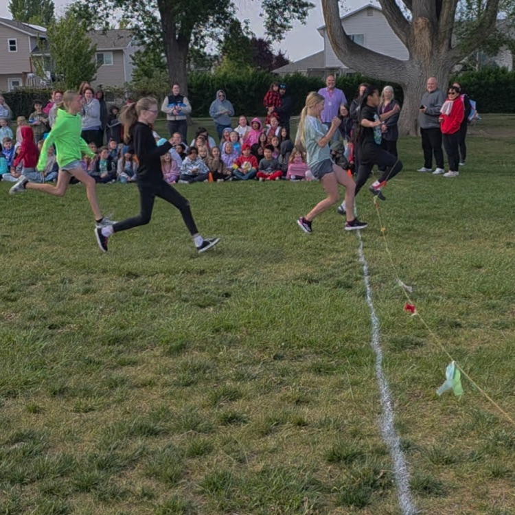 Grade Level Races