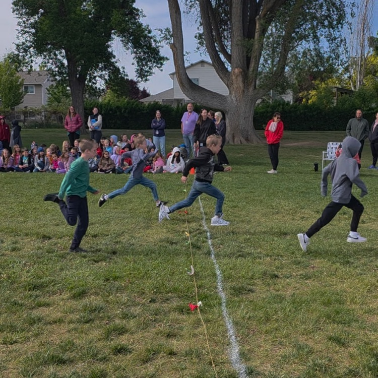 Grade Level Races
