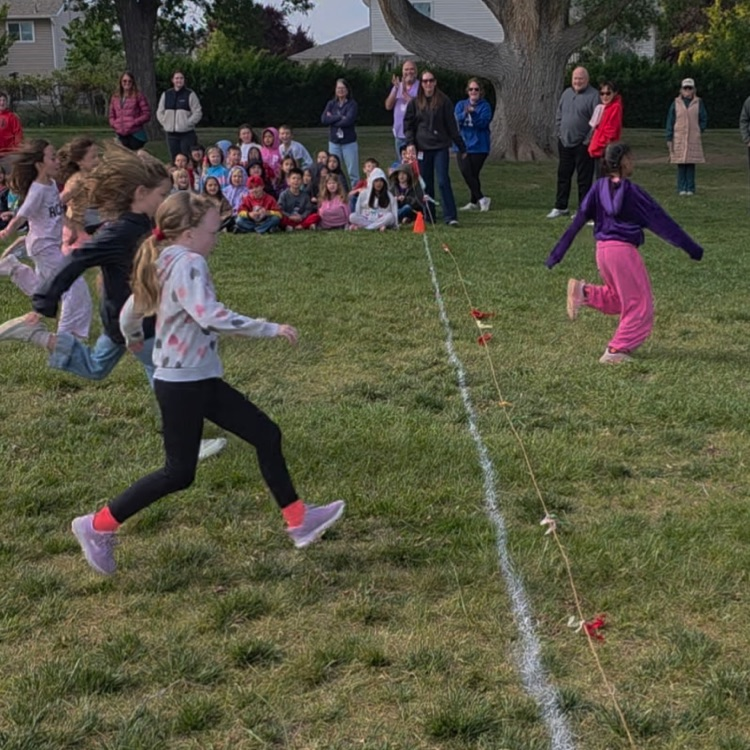 Grade Level Races
