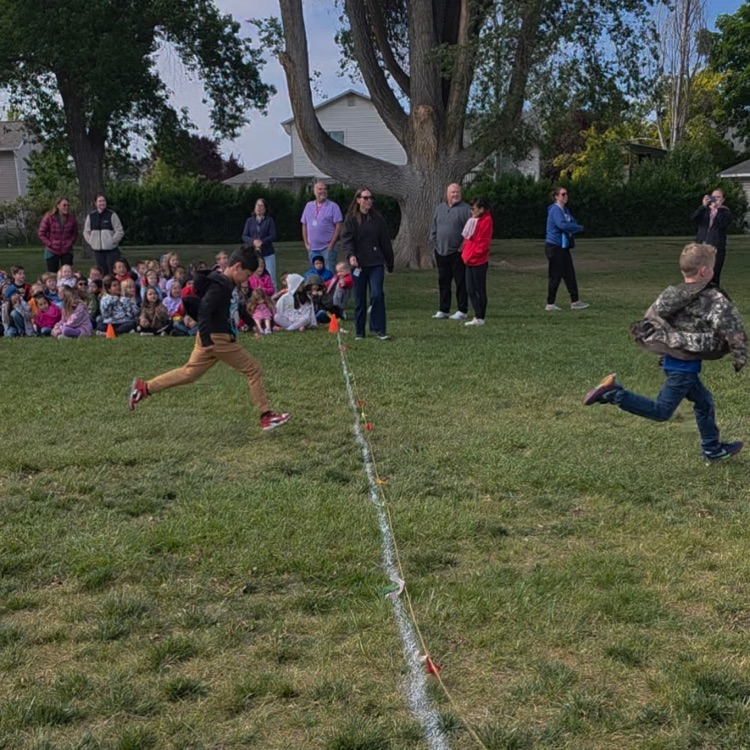 Grade Level Races
