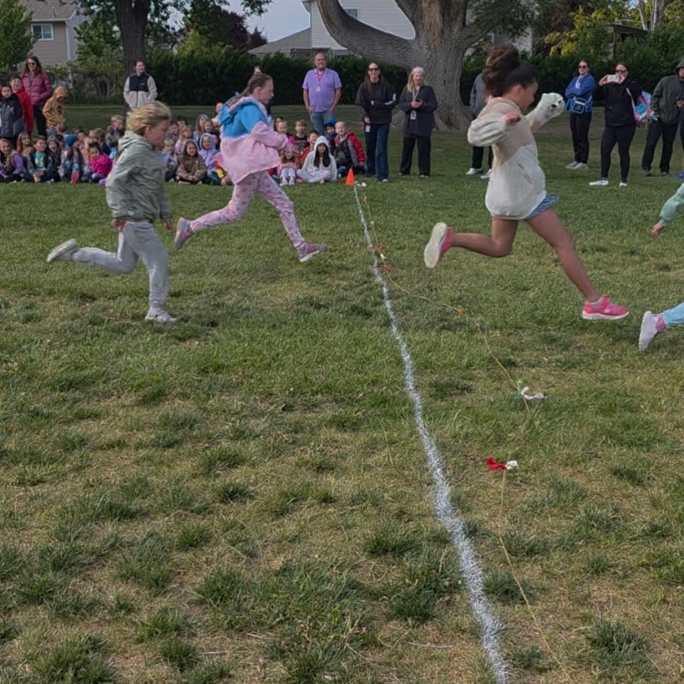 Grade Level Races