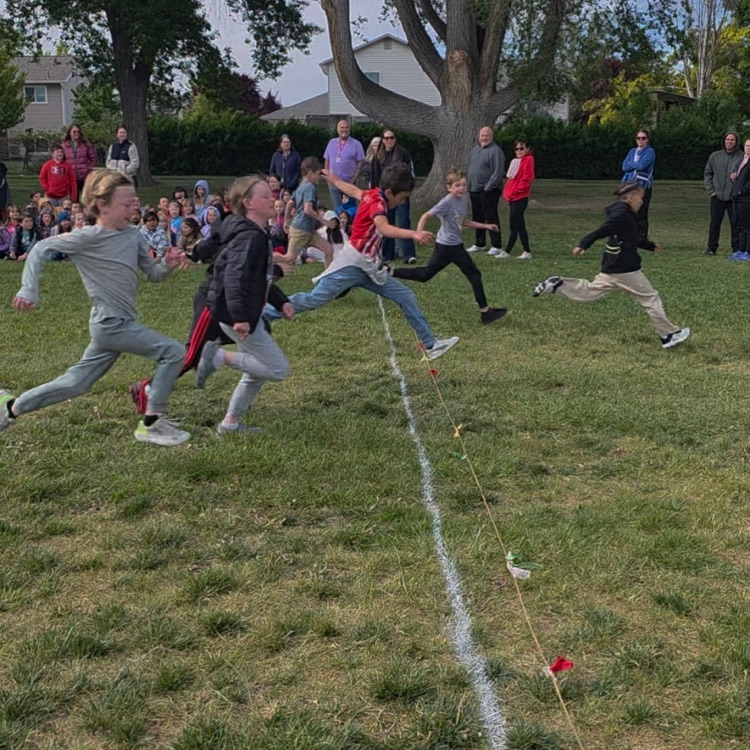 Grade Level Races