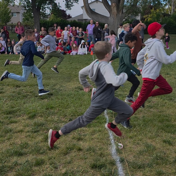 Grade Level Races