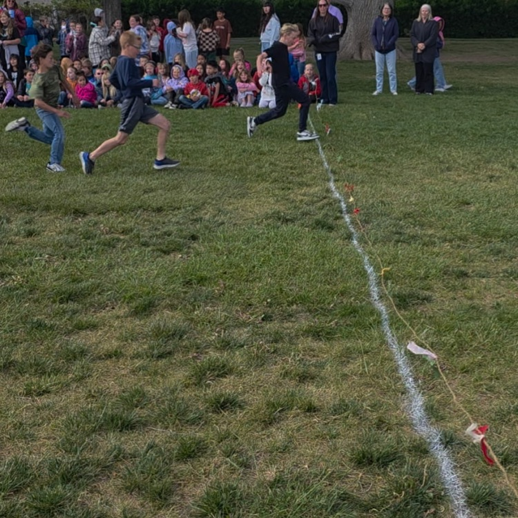 Grade Level Races