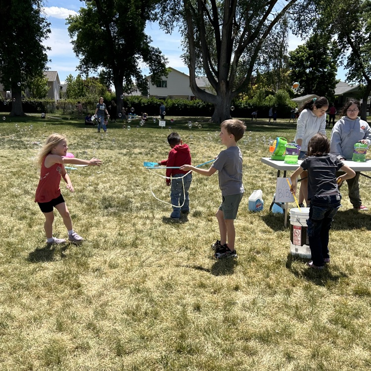 field day fun