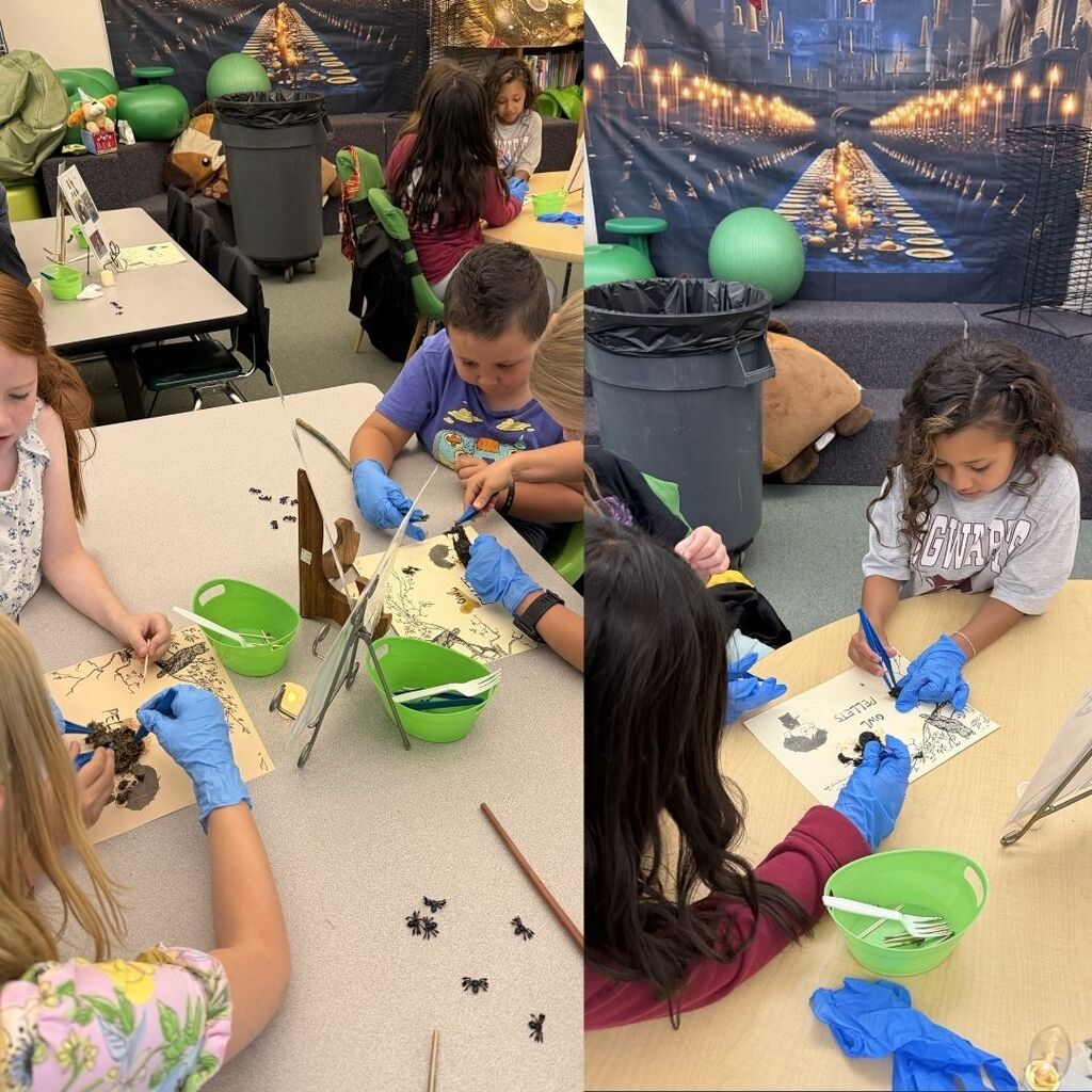 Students in a classroom dissecting owl pellets. 
