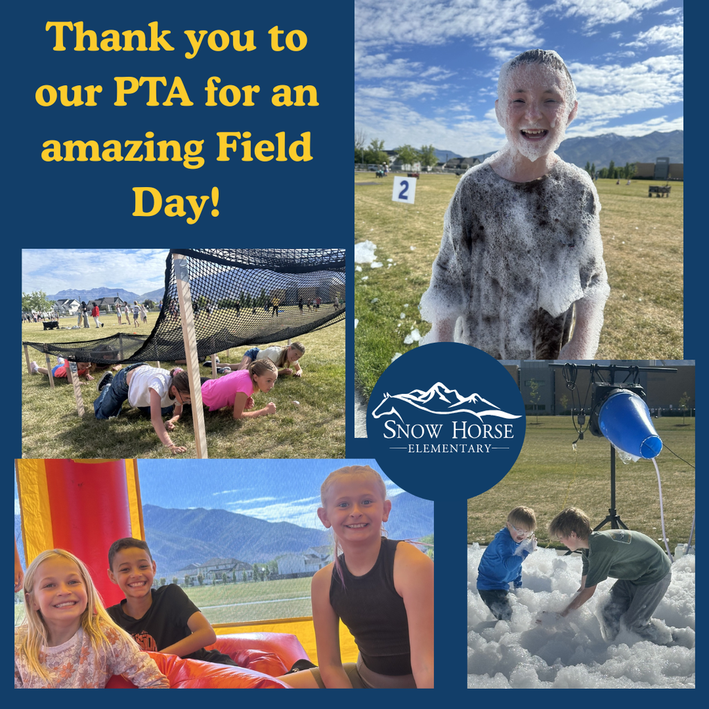 Field Day