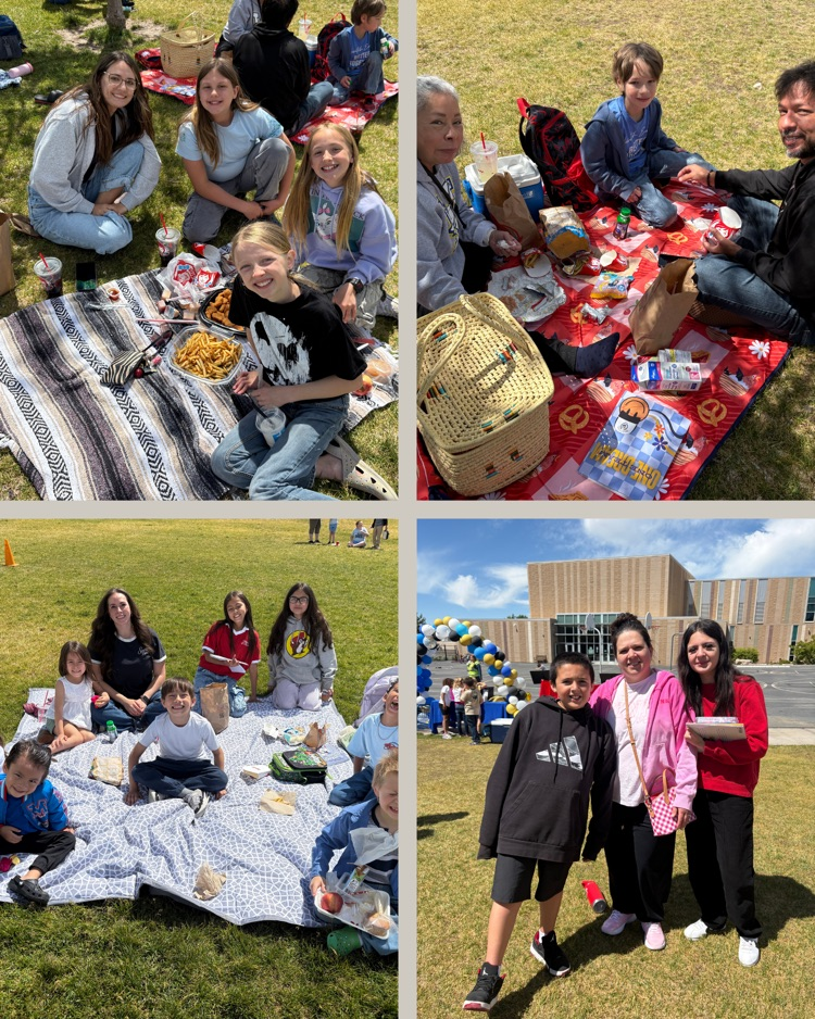 picnic
