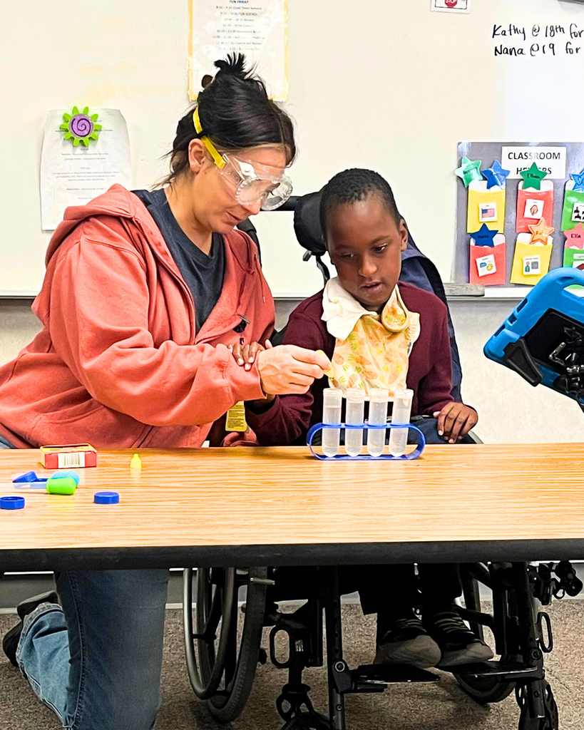Someone wearing science goggles helps a student drop something into four beakers.