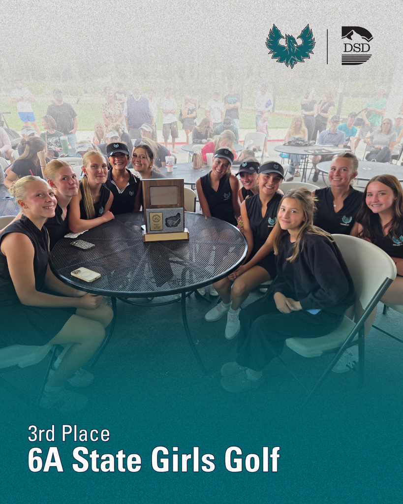 Farmington High Girls Golf team took 3rd place at State.
