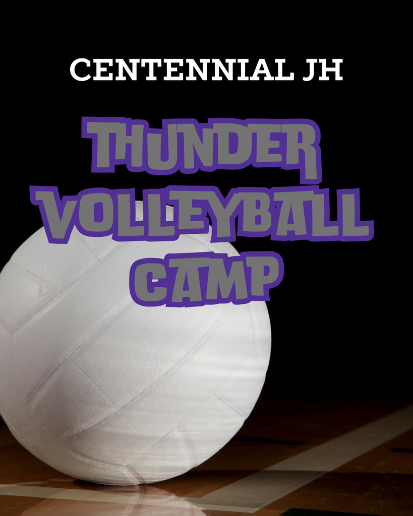 girls volleyball camp flyer
