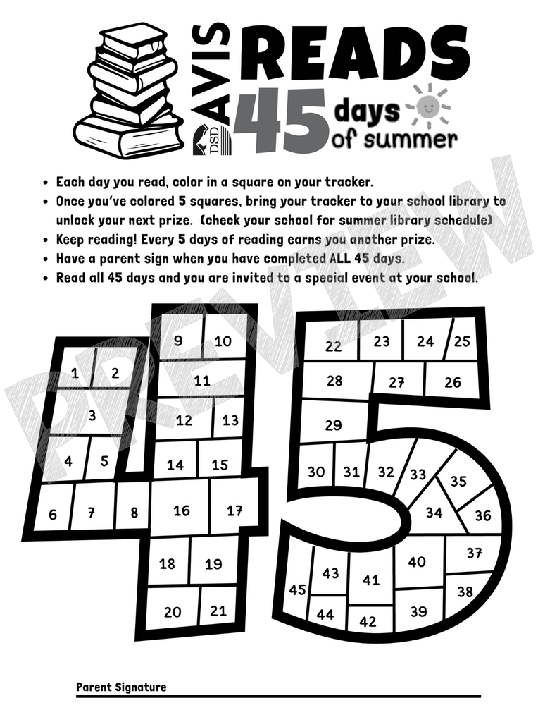 Summer Library information flyer 