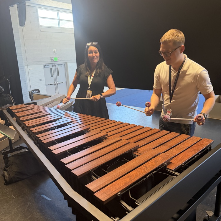 new marimba