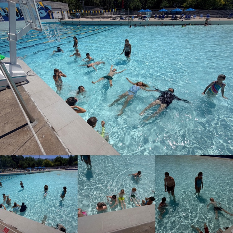 students learning swim techniques at Surf n’ Swim