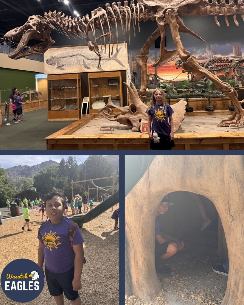 Collage of Wasatch Summer Camp students visiting a dinosaur museum and outdoor play area. The top image shows a camper in a purple “Summer Camp” shirt standing in front of a large triceratops skull fossil and a towering dinosaur skeleton display inside a museum, with glass cases of fossils and informational signs nearby. In the bottom left image, a camper wearing a purple camp shirt and backpack stands on a playground area covered in wood chips, with climbing structures, trees, and groups of other campers in the background under a bright sky. In the bottom right image, a camper is sitting inside a hollow, tunnel-like play structure shaped like a tree or dinosaur feature, with wood chips on the ground and another person partially visible near the entrance.