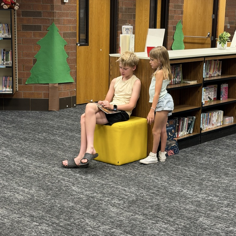 summer library