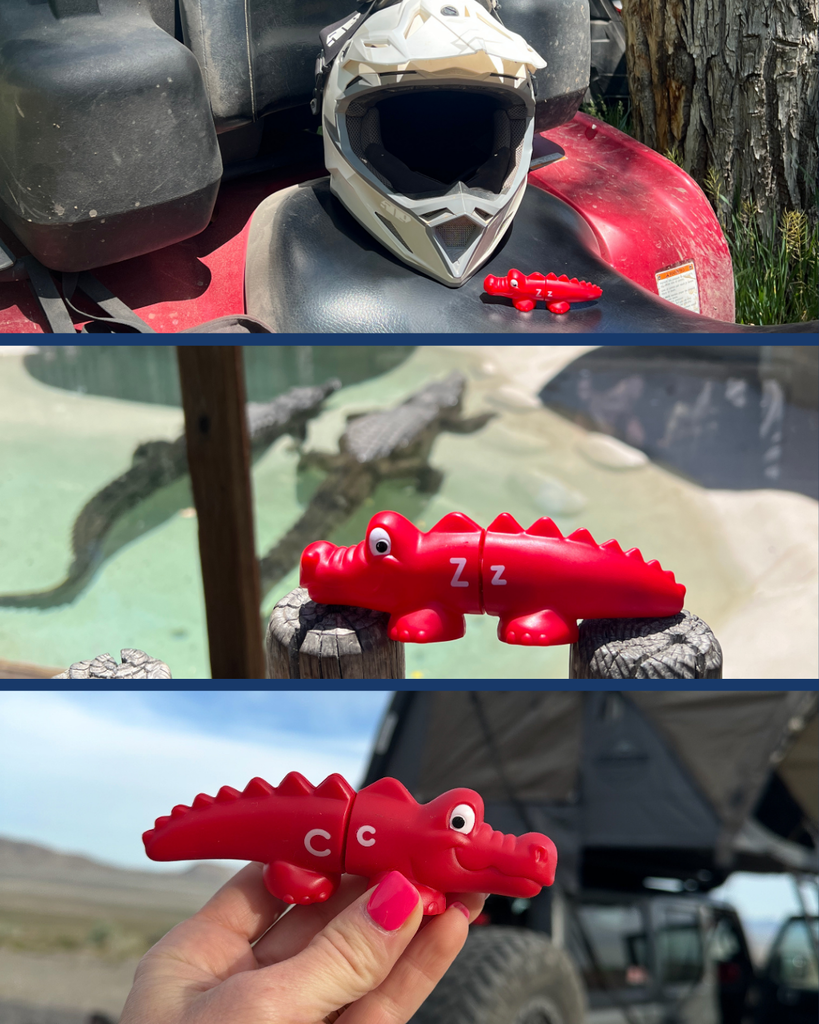 Photos of crocodiles in various locations.
