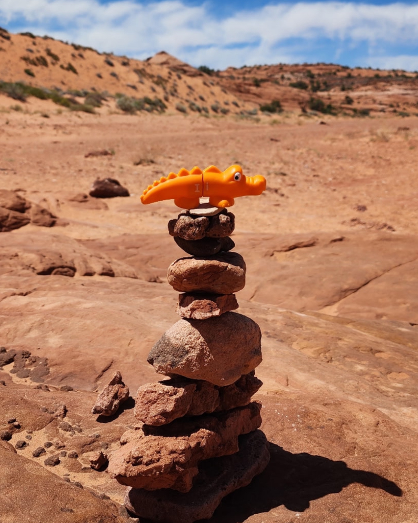 A small crocodile on a pile of rocks.