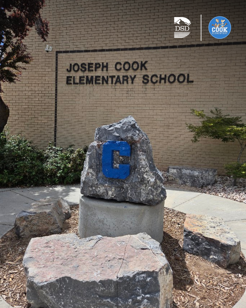 The Cook Elementary Rock with a blue "C".