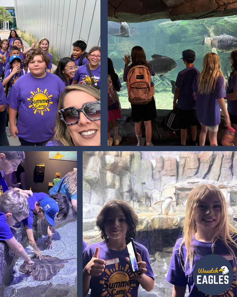 Photo collage of Wasatch Eagles summer campers visiting an aquarium. One image shows a group of campers wearing purple Summer Camp shirts walking together outside the aquarium. Another image shows campers observing large fish through a floor-to-ceiling aquarium window. A third image shows campers participating in a hands-on touch exhibit with a stingray. The final image shows campers standing in front of a penguin exhibit while viewing and photographing the animals. The collage highlights an educational field trip where students explored aquatic habitats, marine life, and interactive exhibits.