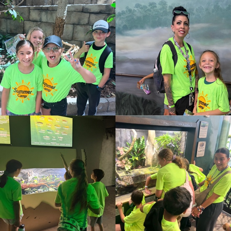summer camp students during the field trip at Living Planet Aquarium