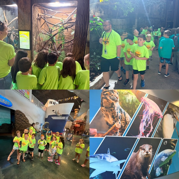 summer camp students during the field trip at Living Planet Aquarium